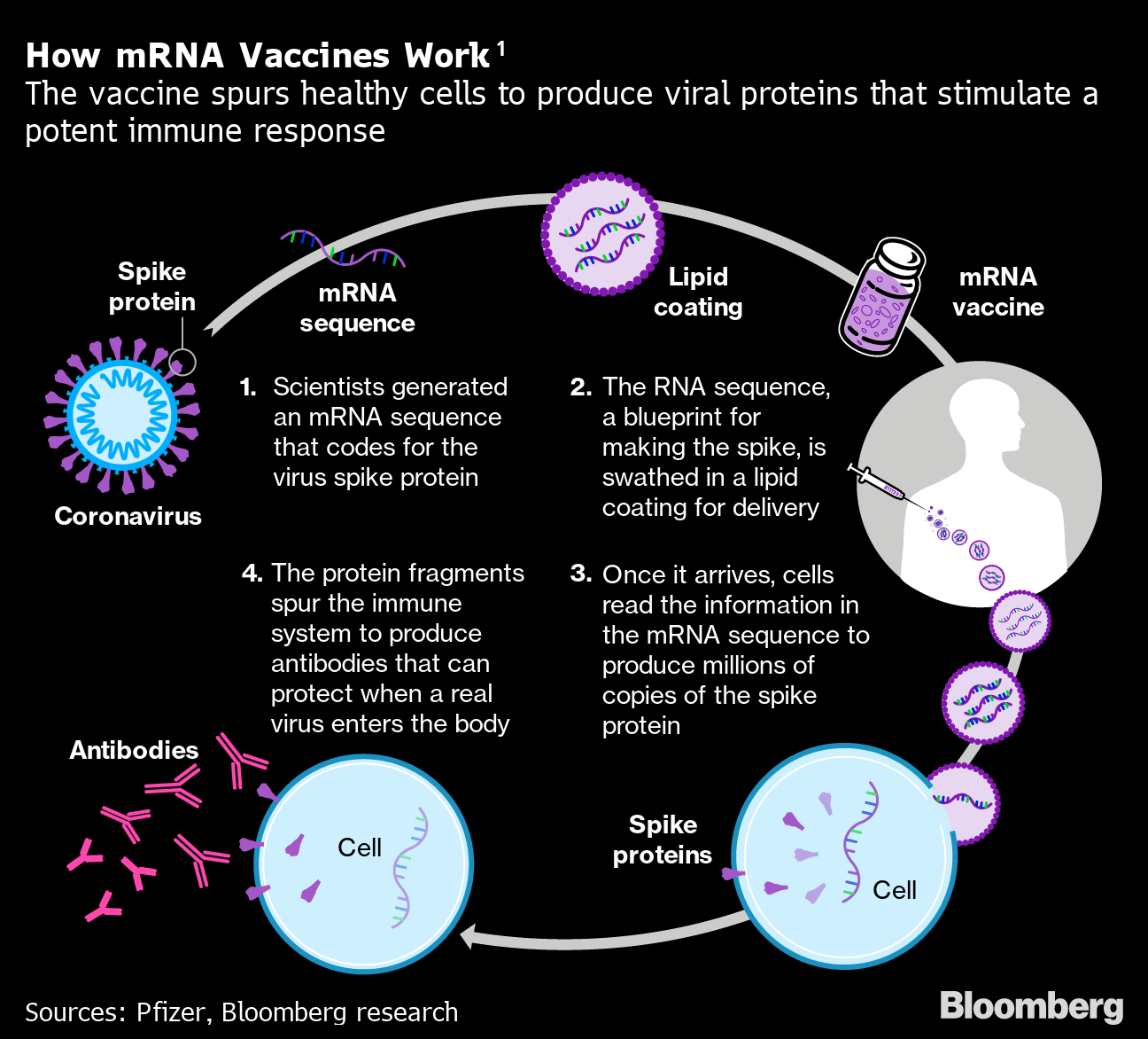 mRNA COVID-19 Vaccine And Pregnancy - IRMS Reproductive Medicine